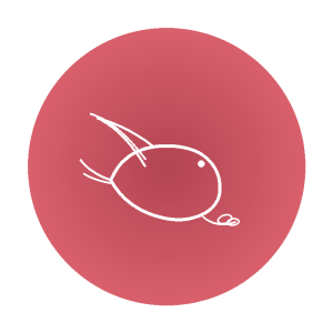 תמונה של TopRest