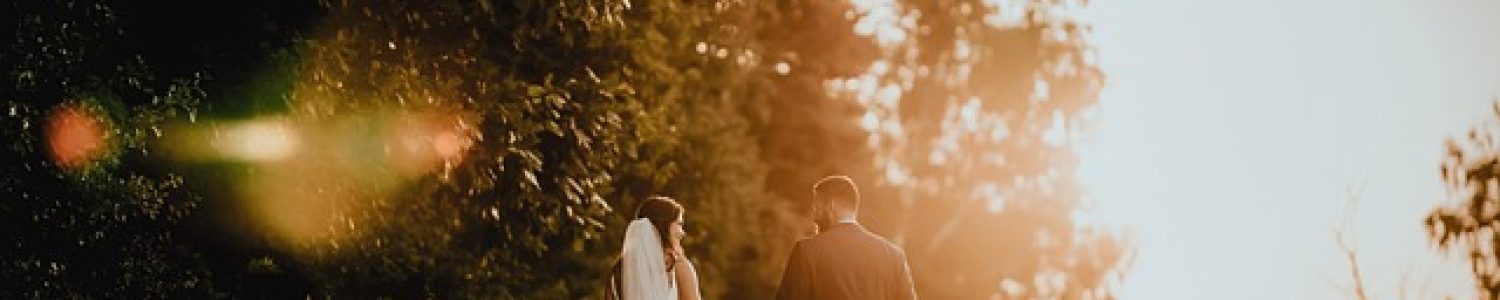 אולמות האיזור הדרום